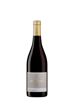 2021 Pinot Noir -R- trocken