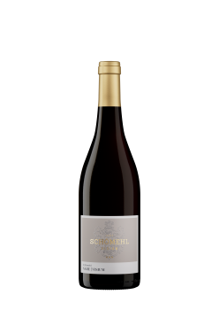2022 Pinot Noir -R- trocken