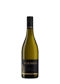 2024 Chardonnay trocken