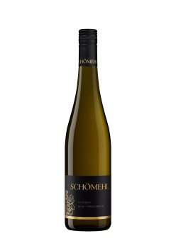 2023 Dorsheimer Goldloch -S- Riesling trocken