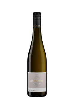 2021 Riesling Visium trocken